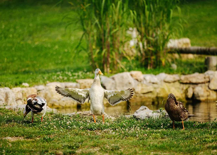 Tente de luxe Gozdne Va Vrti Kostel
